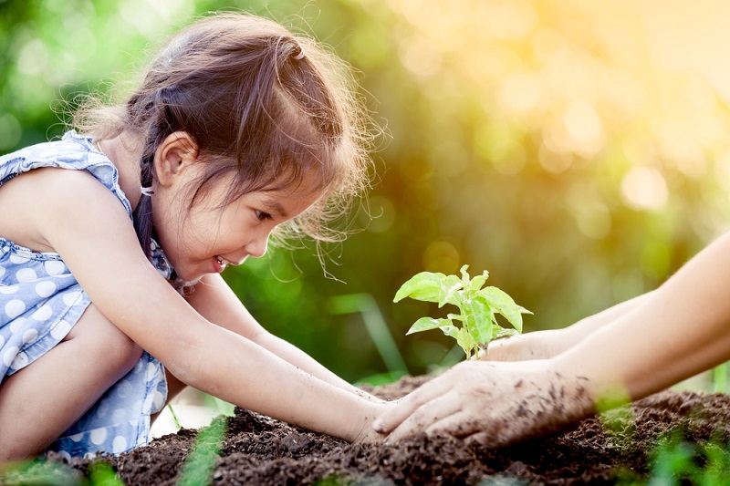 Take the mindset of your team seriously for your accountancy firm’s success Growth Mindset